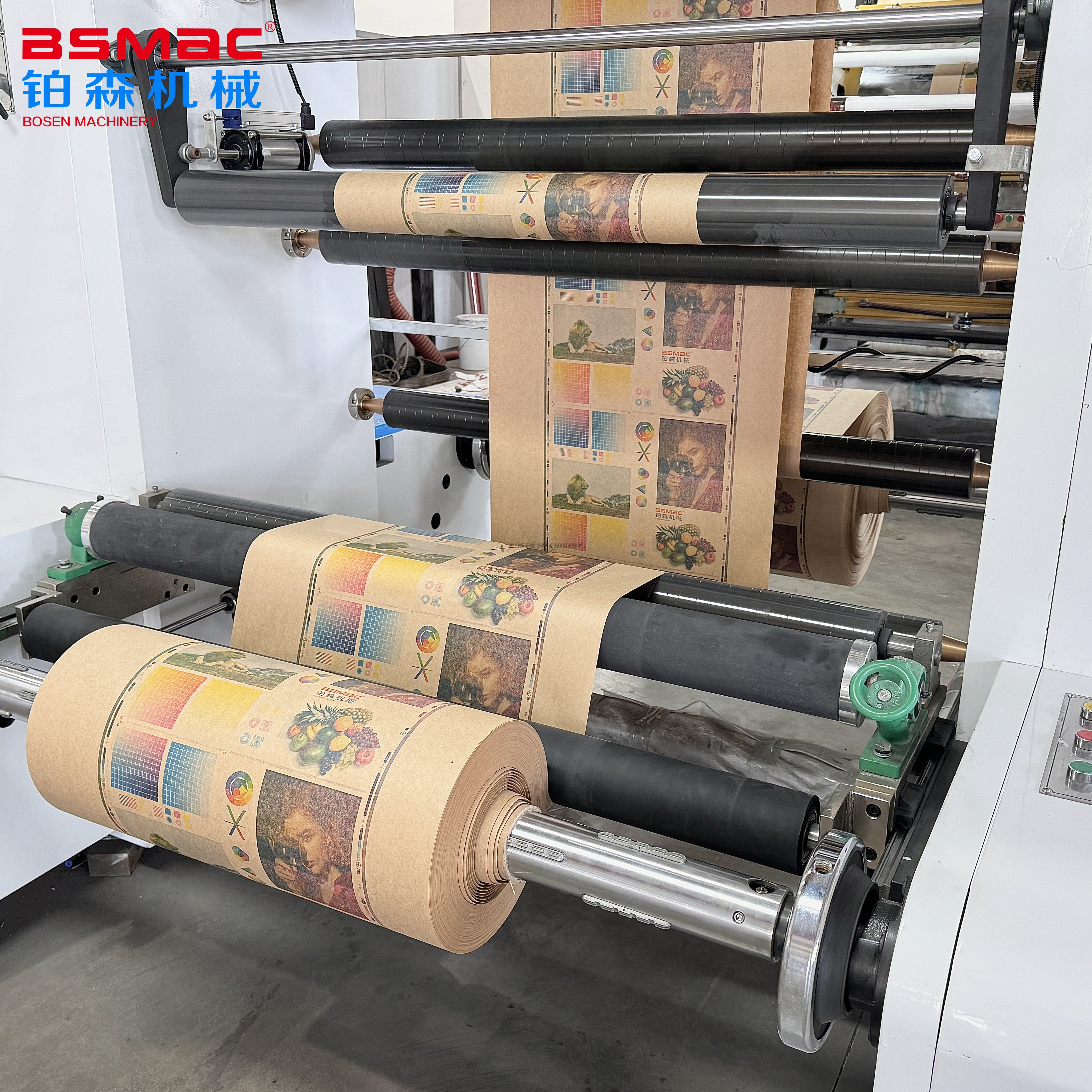 BSHCI 6 Color CI Center Large Roller Satellite Flexographic Printing Machine